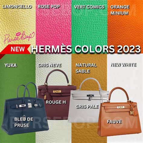 hermes 2024 color|hermes birkin color chart.